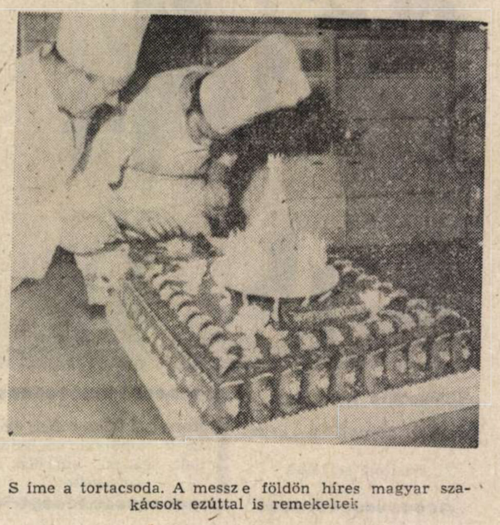 torta és szakácsok