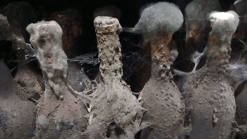 tokaji aszú múzeum