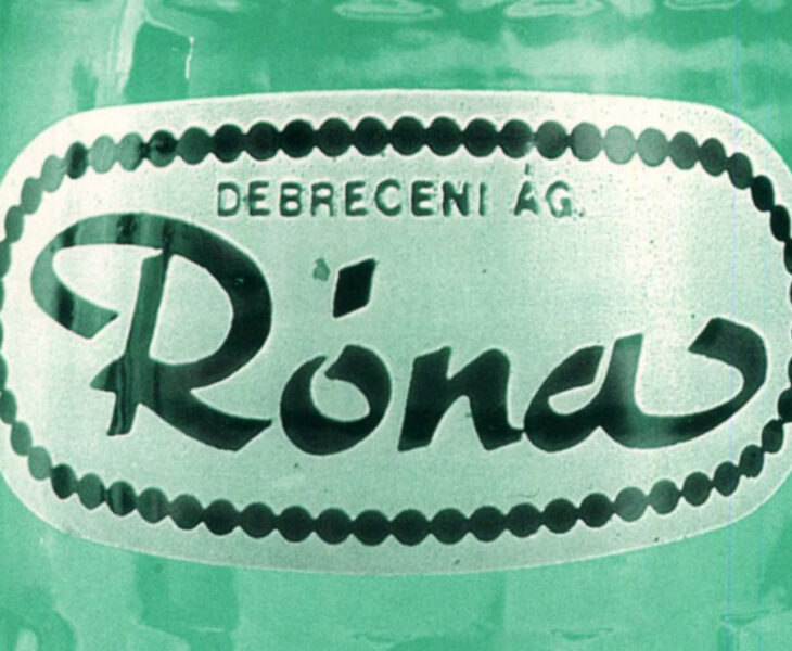 traubi, róna