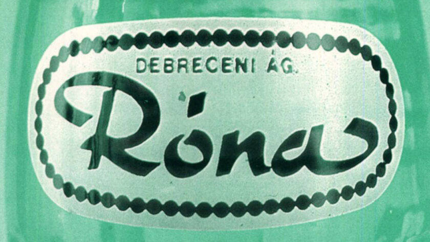 traubi, róna