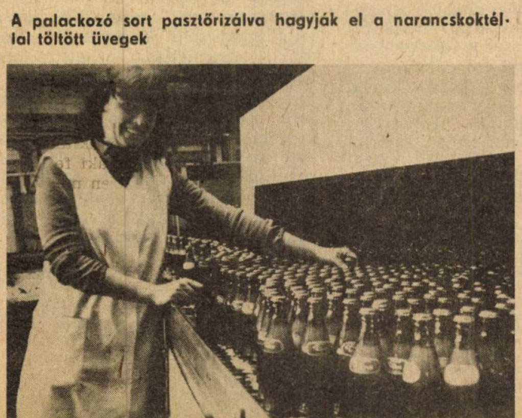 traubi, róna