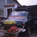 paprika, zöldség árus