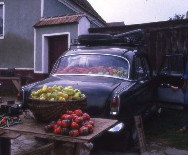 paprika, zöldség árus