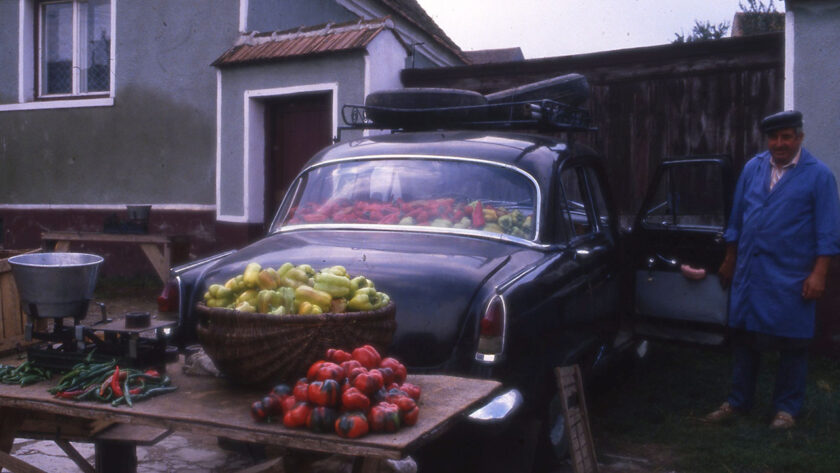 paprika, zöldség árus