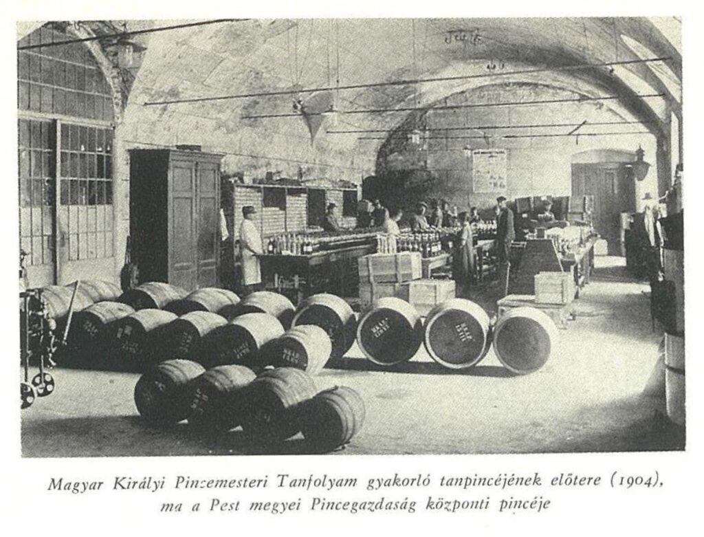 budafok, iskola, pince, bor