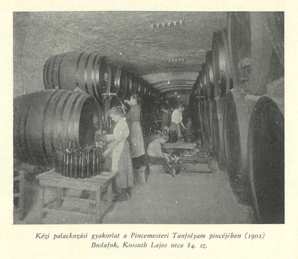 budafok, iskola, pince, bor