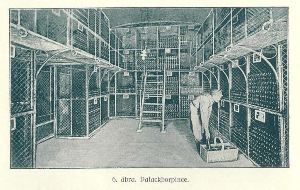 budafok, iskola, pince, bor