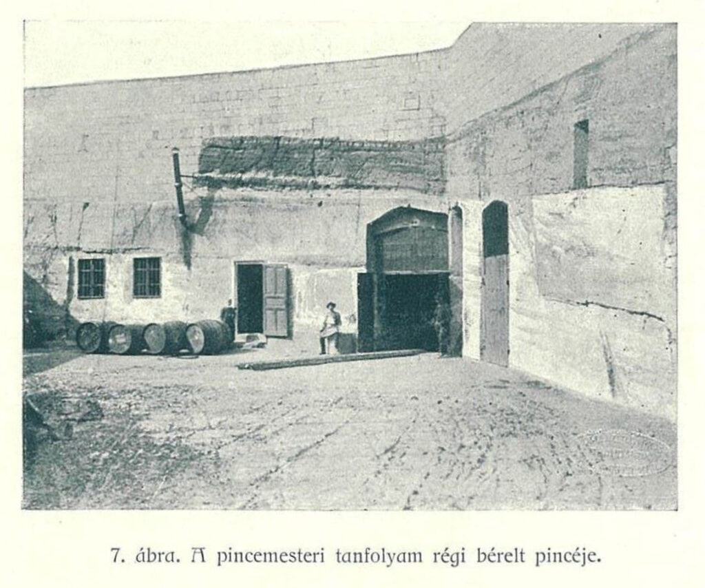 budafok, iskola, pince, bor